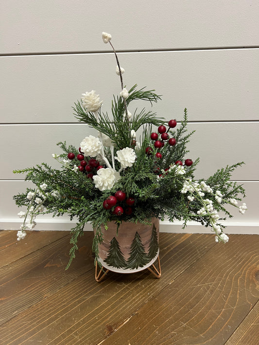 Red, White Berry in Evergreen Container