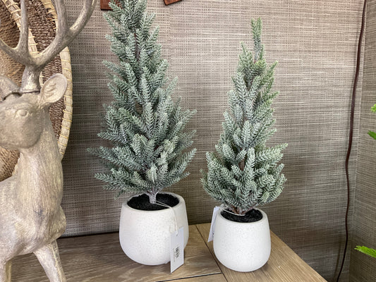 Glit Pine Tree in T/C Pot