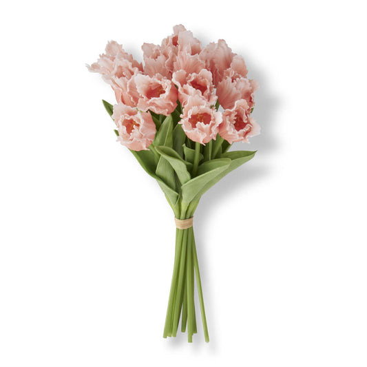 Orange/Peach Tulip Bundle