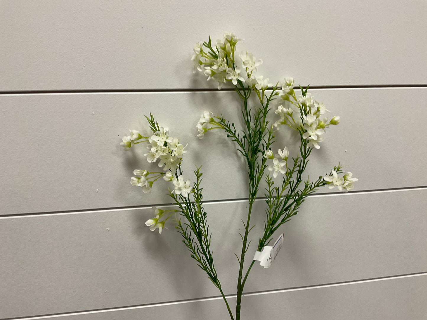 27" Waxflower Spray