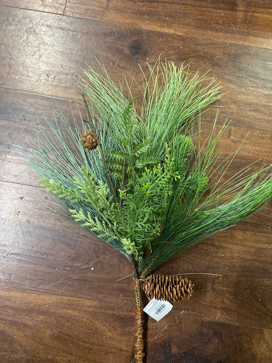 Long Needle Pine
