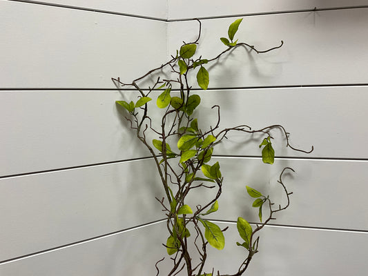 Willow Branch with Leaves