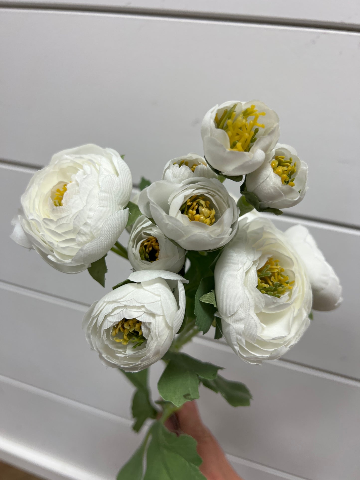 21.5 Ranunculus Spray