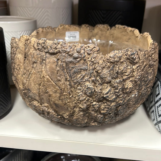 Fossil Container