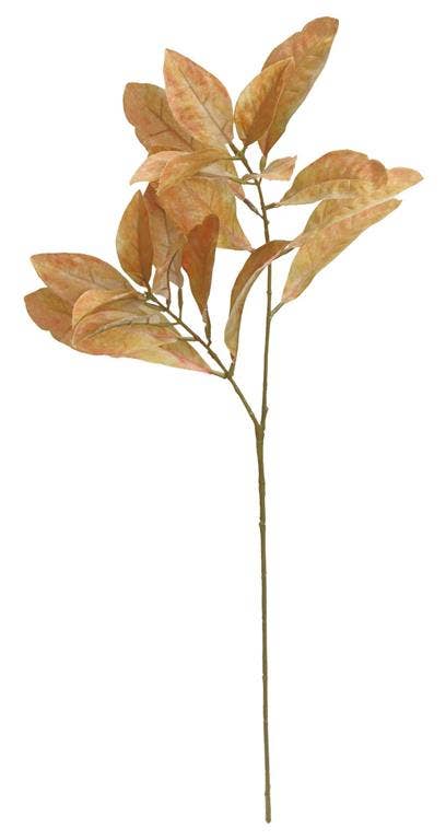 Croton Bicolor Spray 28.5" Rusty Brown