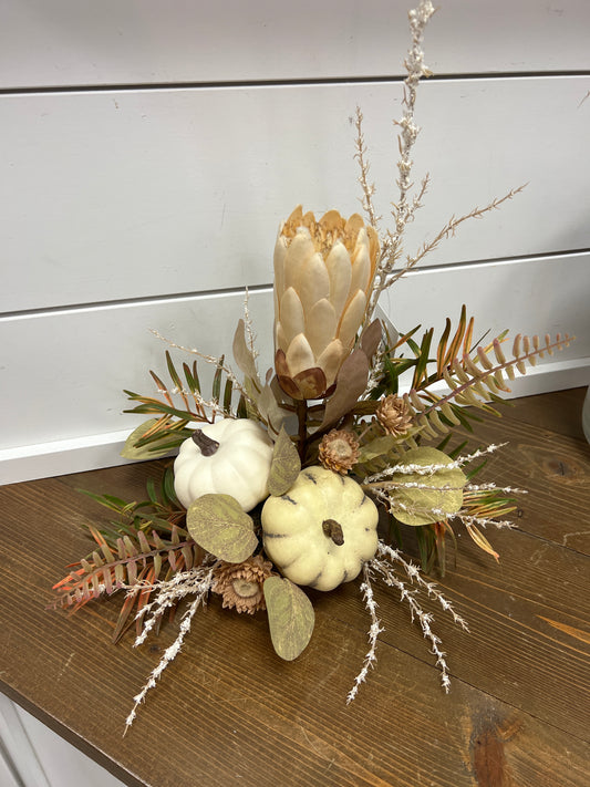 Cream Protea with Pumpkins
