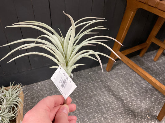 Air Grass Pick