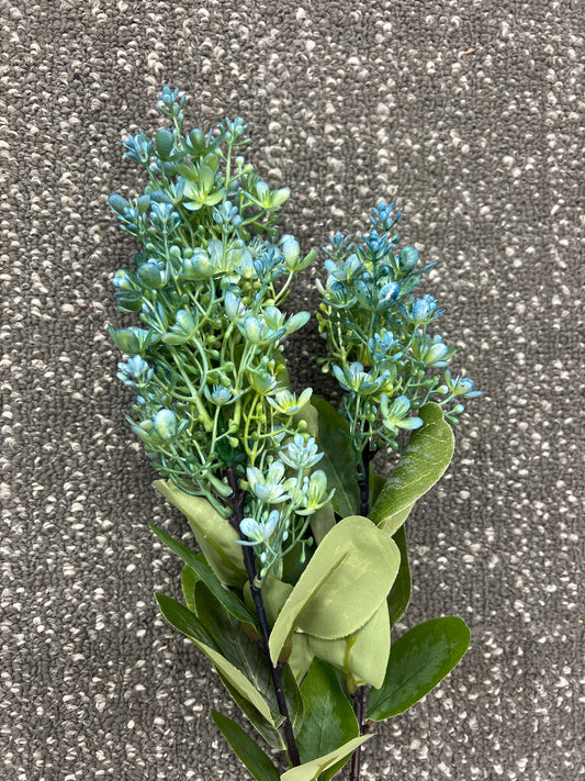 Seeded Peegee Hydragea