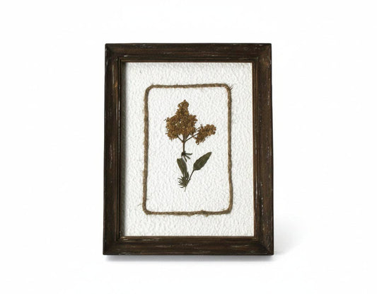 WA108 Botanical Flower Wall Art - Pressed Flower Stem 8" x 1" x 10"