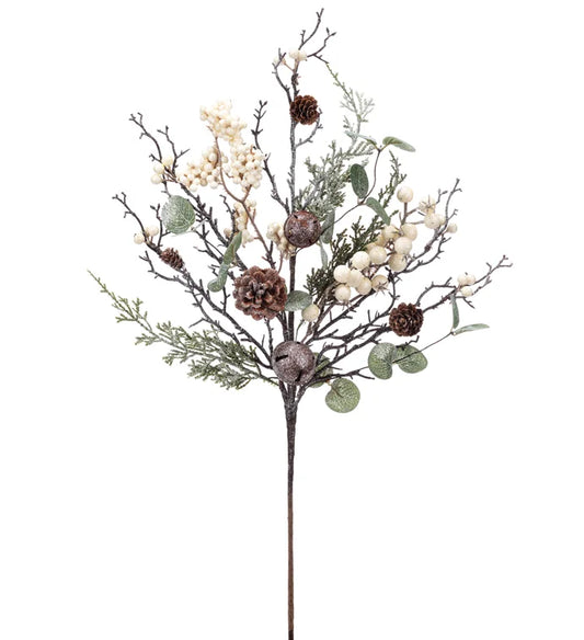 White Berry Eucalyptus Bell PK