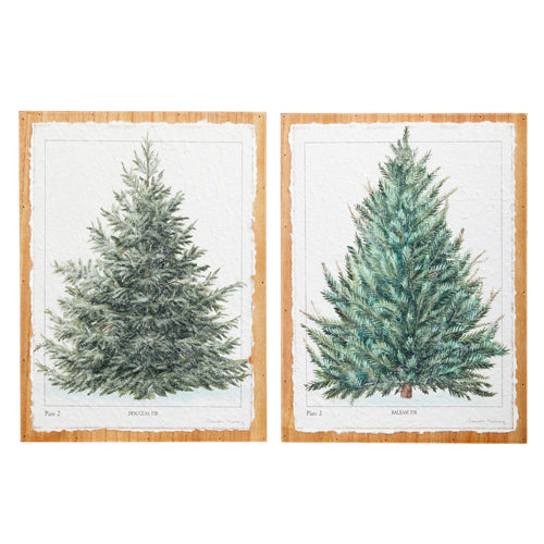 Fir Tree Textured on Wood Wall Art