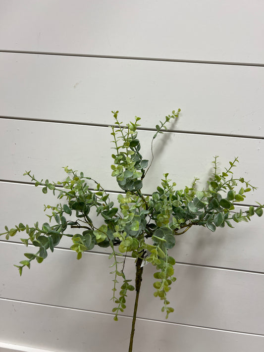 34" Mini Eucalyptus