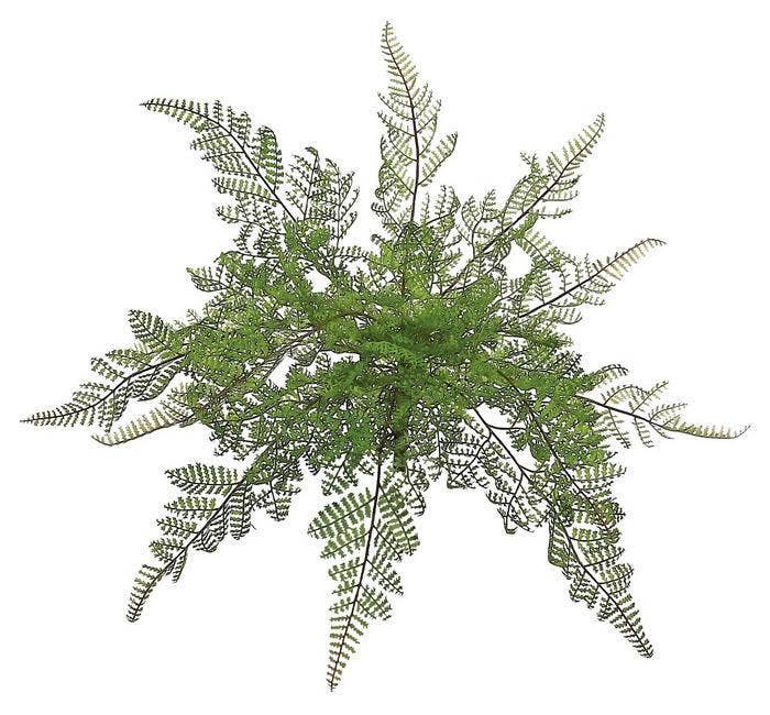 Lace Fern Bush, #FL2282/S-G