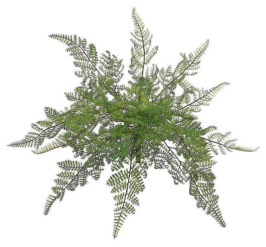 Lace Fern Bush, #FL2282/S-G