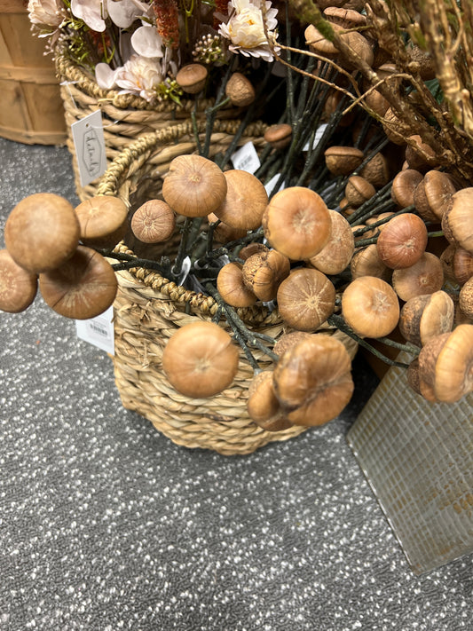 Brown Ling Pod Spray