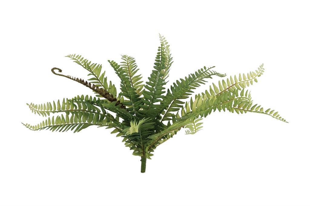 Kimberly Fern Bush W/Frond, #FL6971-G