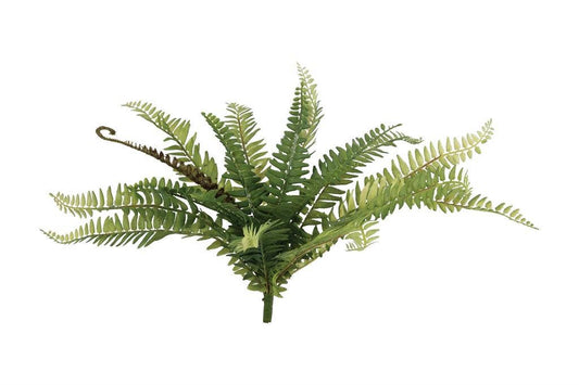 Kimberly Fern Bush W/Frond, #FL6971-G