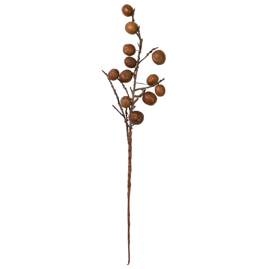 Botanical Stem - Chinaberry