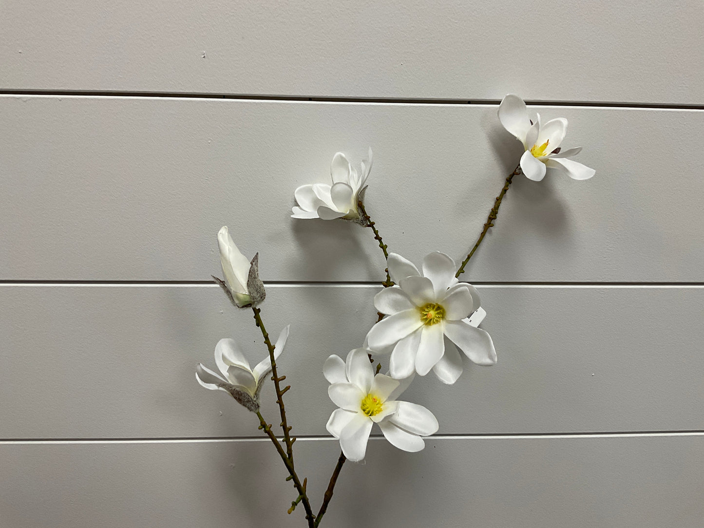 28.75 Magnolia White