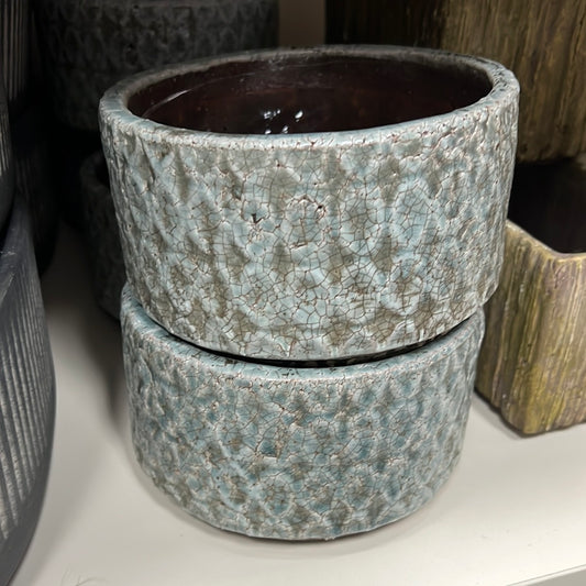 Blue Dish Garden