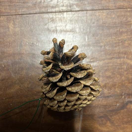 Austrica Pine Cones Natural