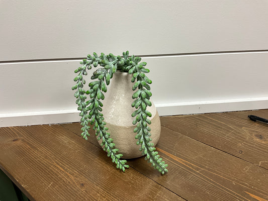 Trailing Succulent Spray