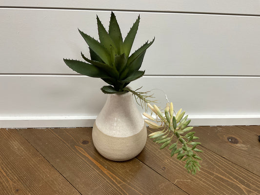 15" Blooming Agave Pick WH/GR