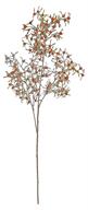 SEEDING GRASS SPRAY 34", RUST