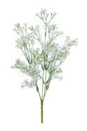 STAR ASTER BUSH, 14", WHITE