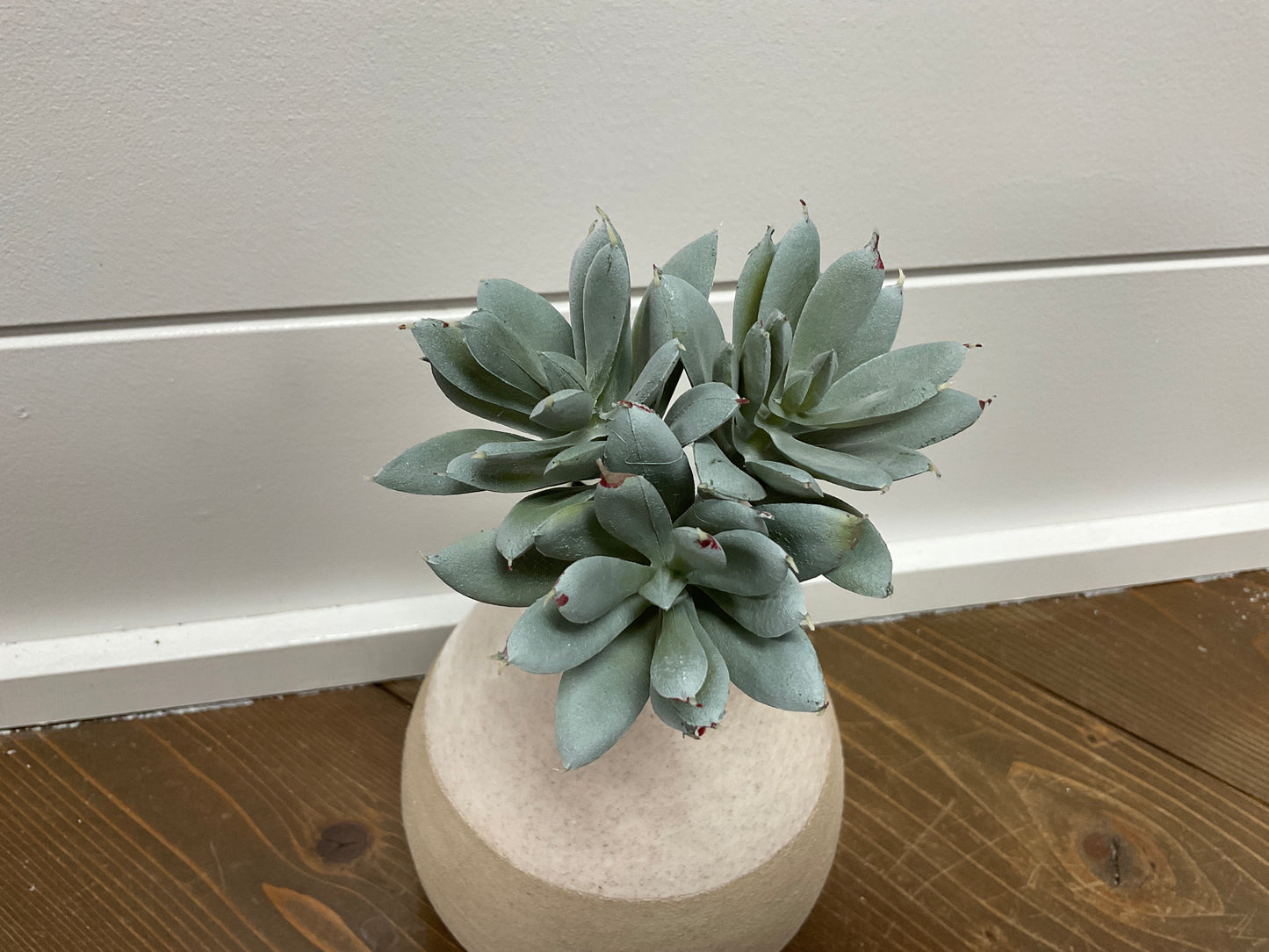 10" Sedum Bouquet Pick x3  Gray Green4rtg