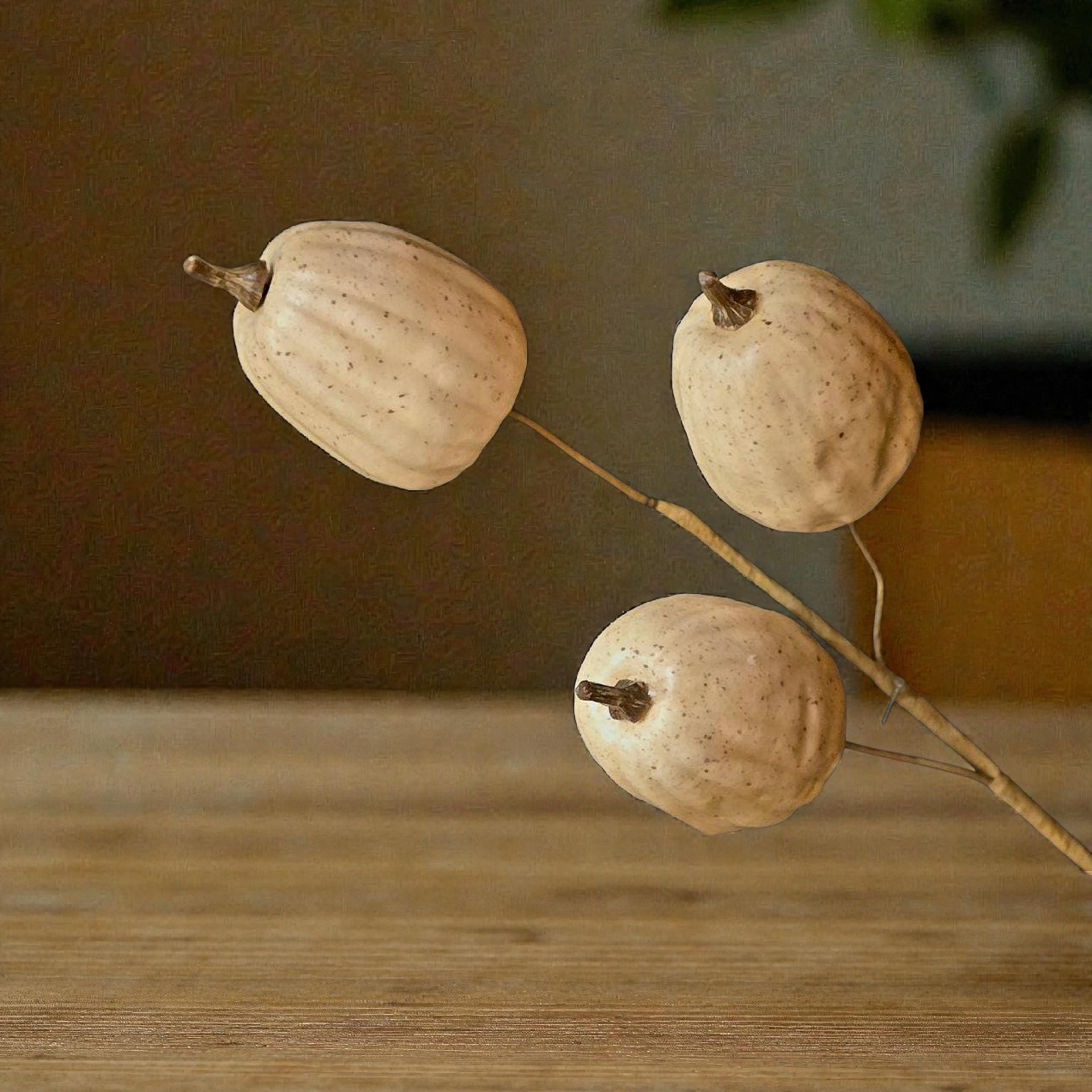 Tall White Pumpkin Stem