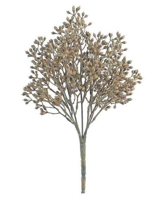Seed Bush, 12" Tobacco