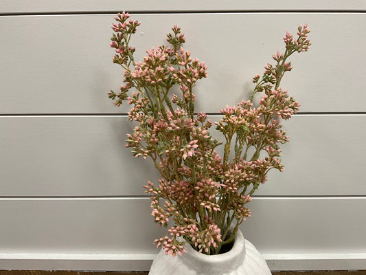 Pink/Green Seeds Bush