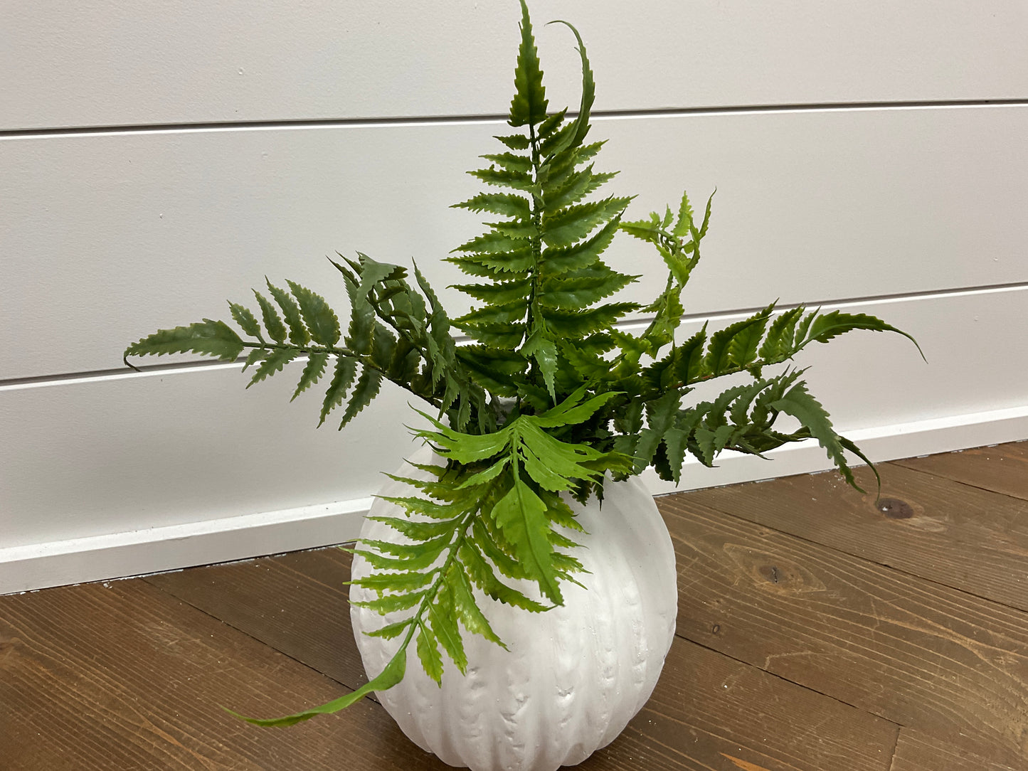 12" Fern Pick Assortment