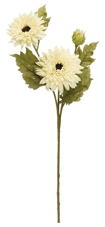 Mum Spray, 27" Ivory