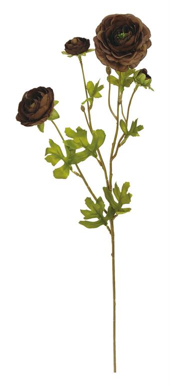 Ruffle Ranunculus
