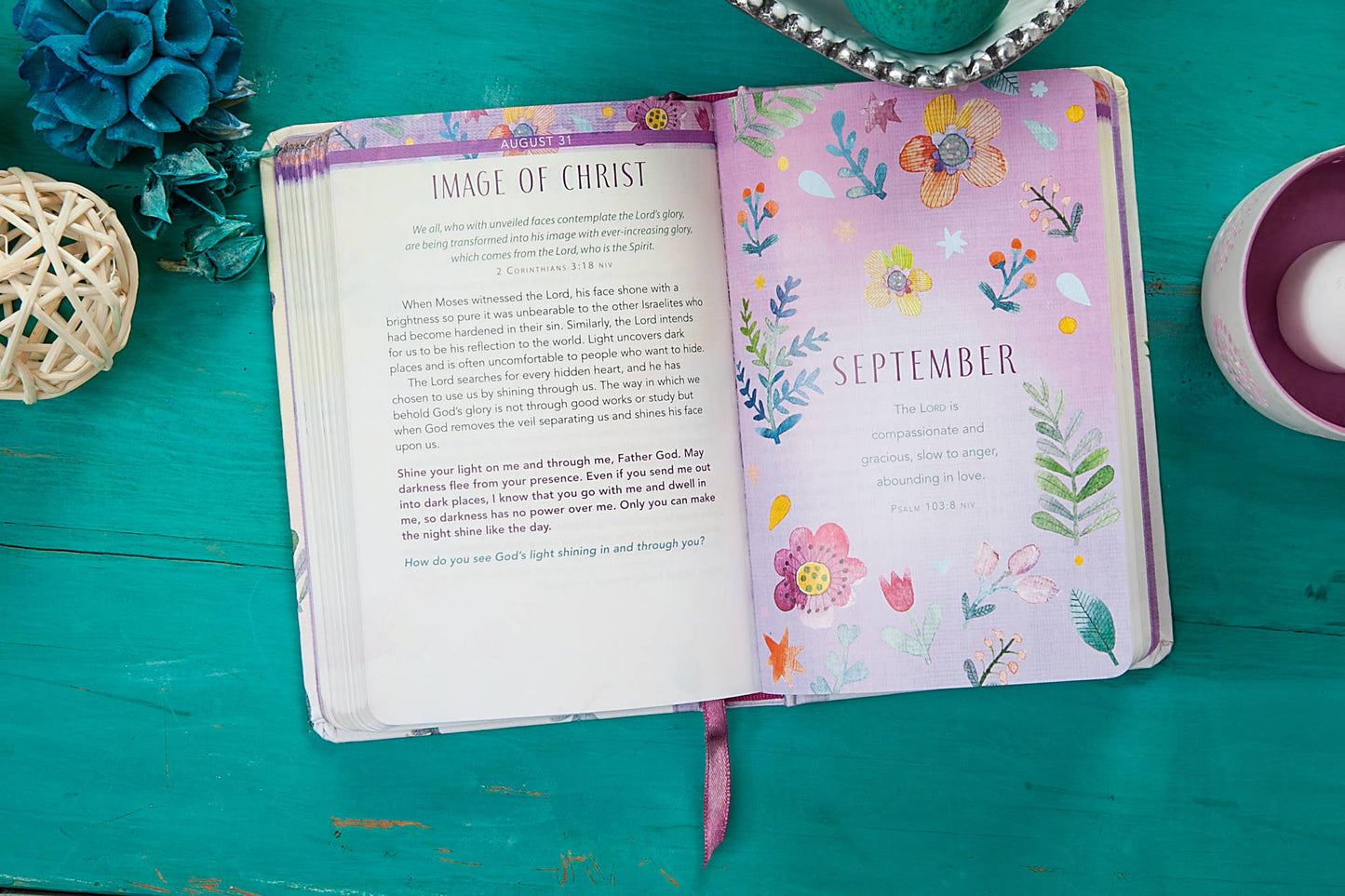 Amazing Grace (Yearlong Devotional)