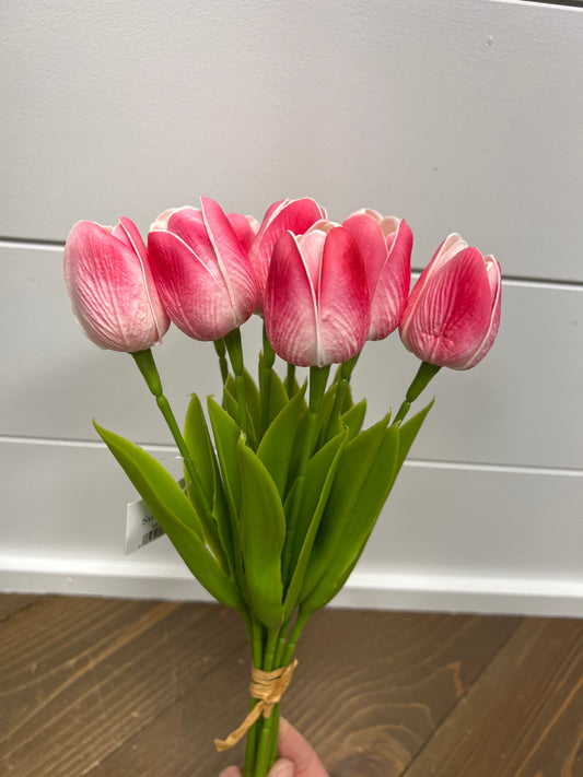 Tulip Bush