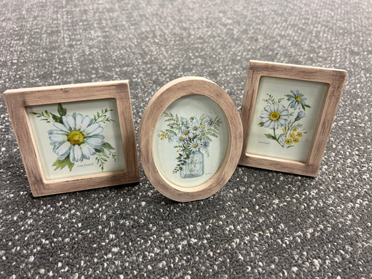 Small Framed Daisy Art