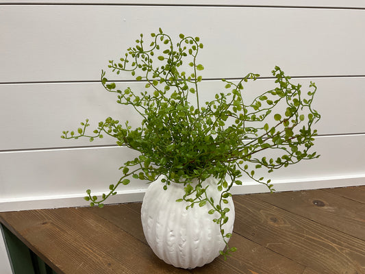 15" Button Leaf Bush GR