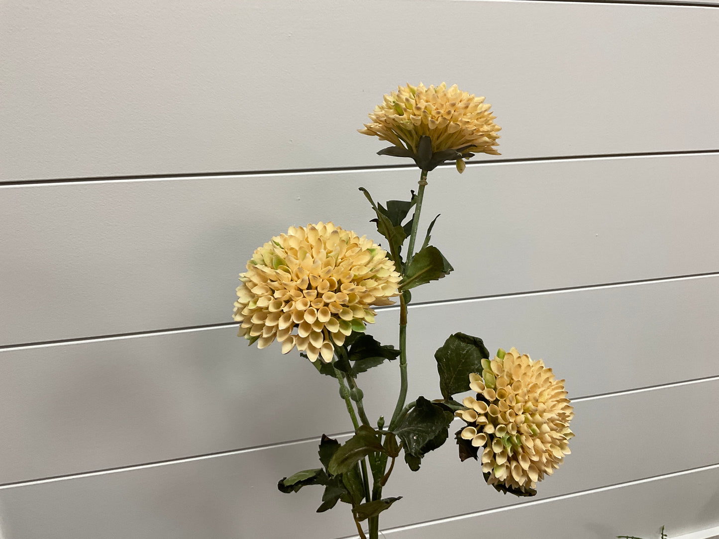 Beige Dahlia Spray
