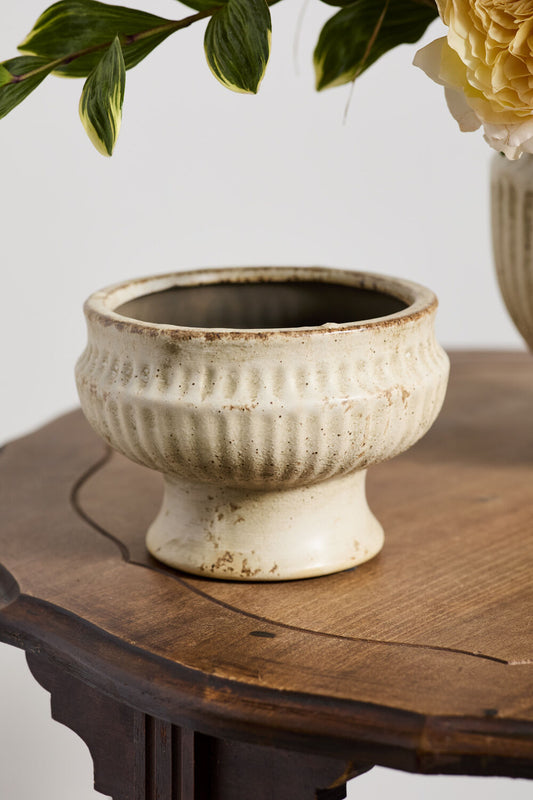 Cadmus Compote