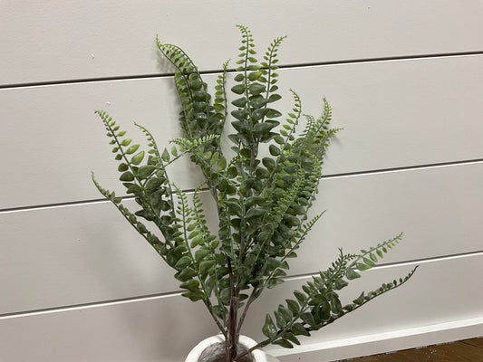 20" Fern Spray GR