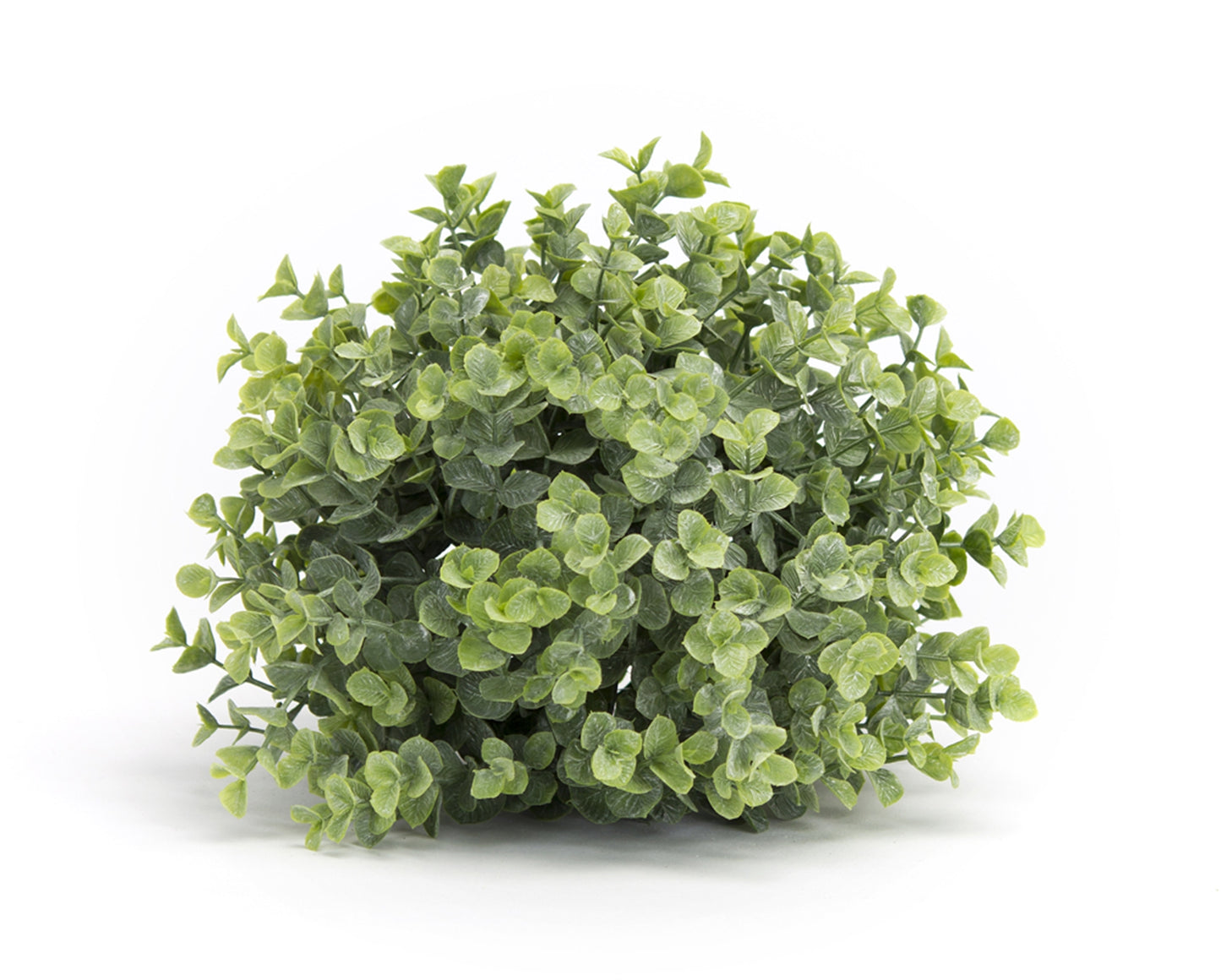 9" Boxwood Half Orb
