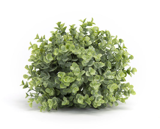 9" Boxwood Half Orb