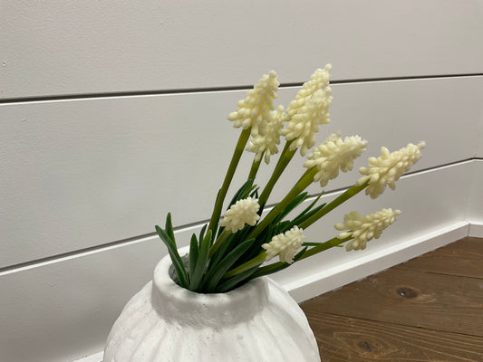 WM Grape Hyancinth 11"