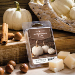 White Pumpkin & Oak Wax Melt