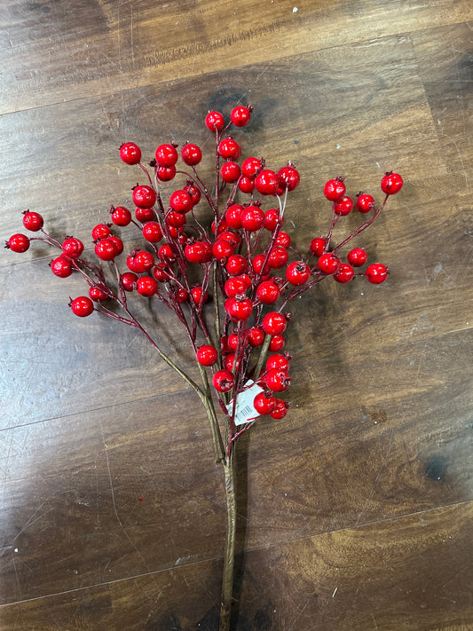 Red Berry Bush