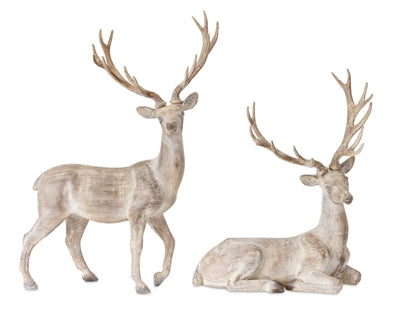 14.5x13 White Deer