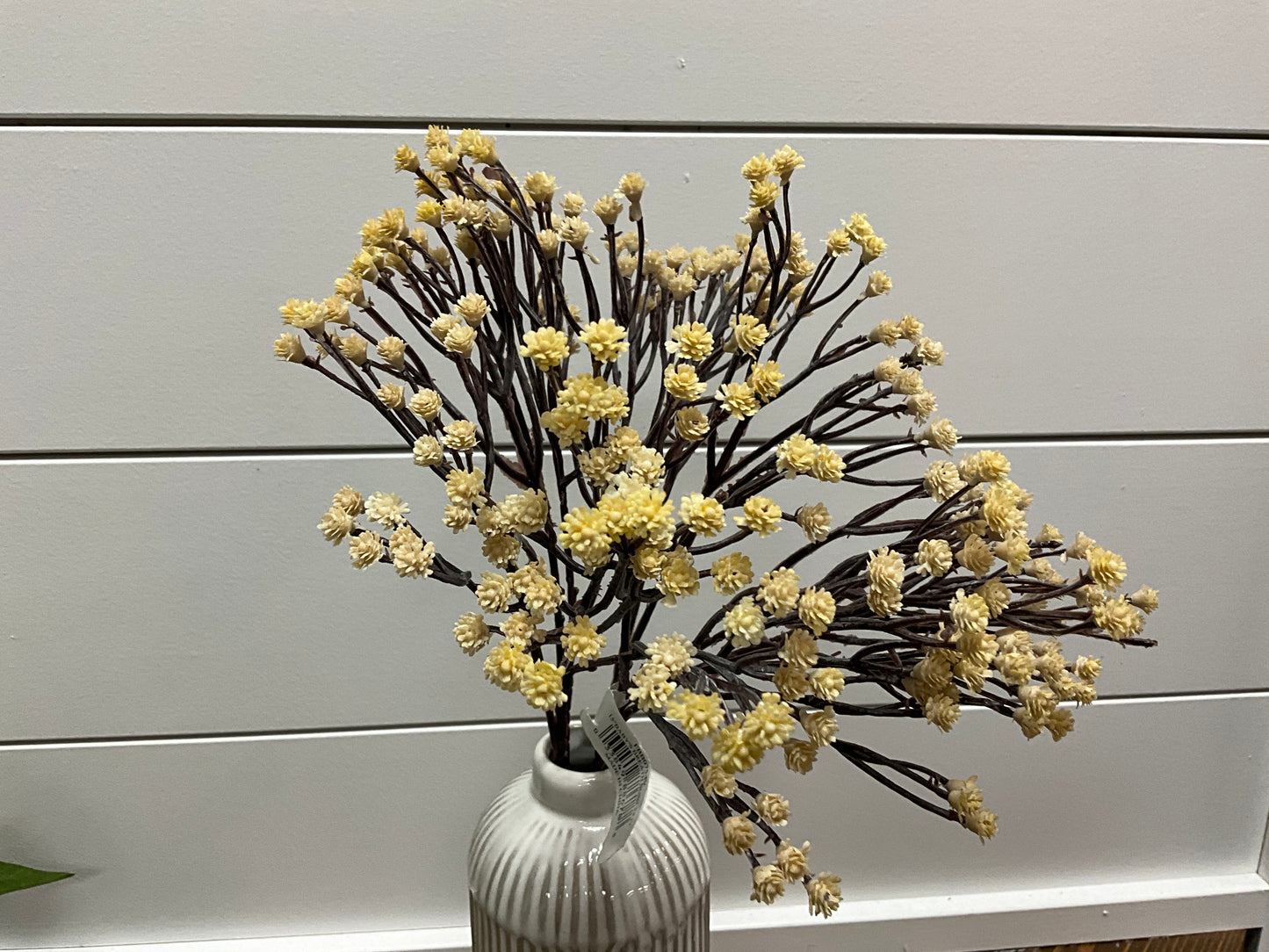 15" baby's breath bush